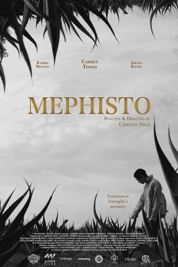 Постер фильма Mephisto