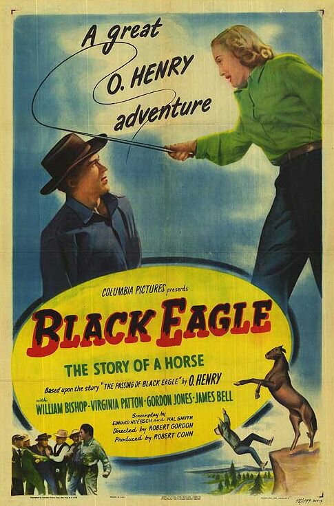 Постер фильма Black Eagle