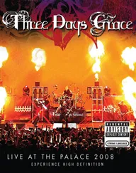Three Days Grace: Live at the Palace 2008