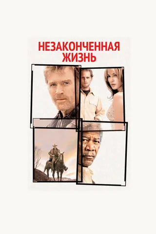 Постер Незаконченная жизнь (2004)