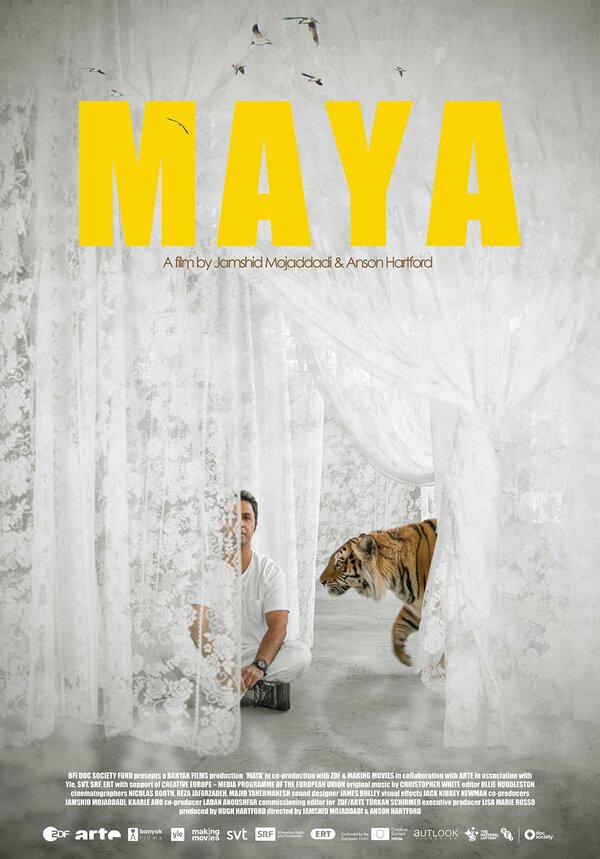 Постер фильма Maya