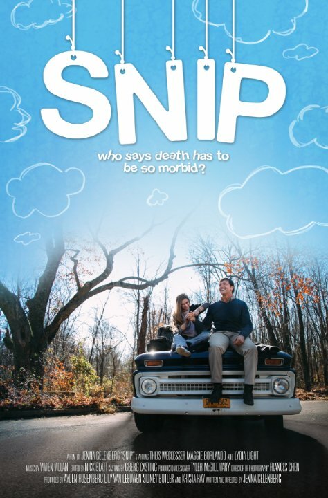 Постер фильма Snip