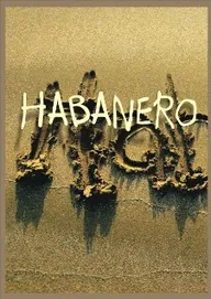 Гаванец