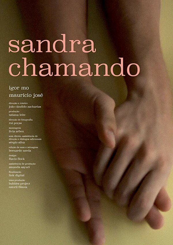 Постер фильма Sandra Chamando