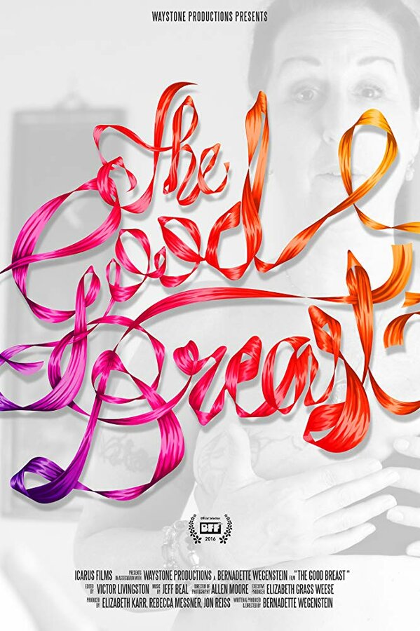 Постер фильма The Good Breast