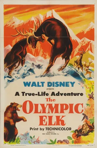 Постер The Olympic Elk (1952)