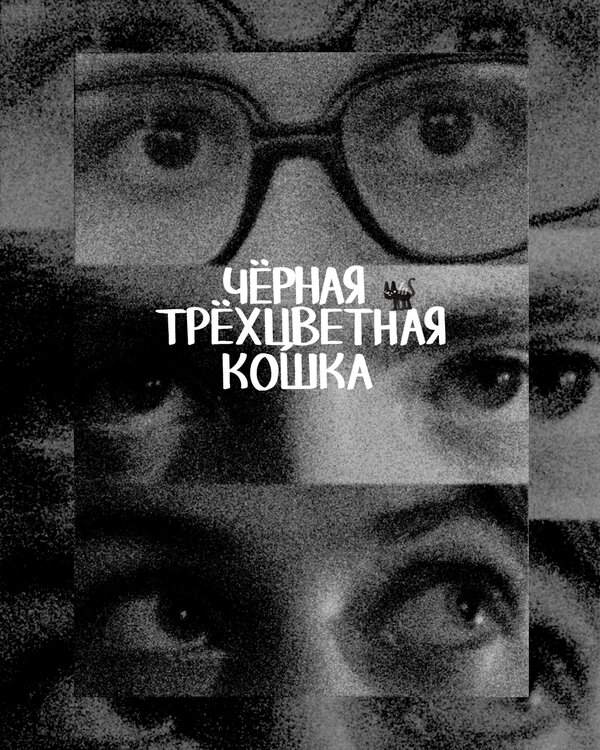 Постер фильма Чёрная трёхцветная кошка