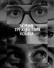 Чёрная трёхцветная кошка