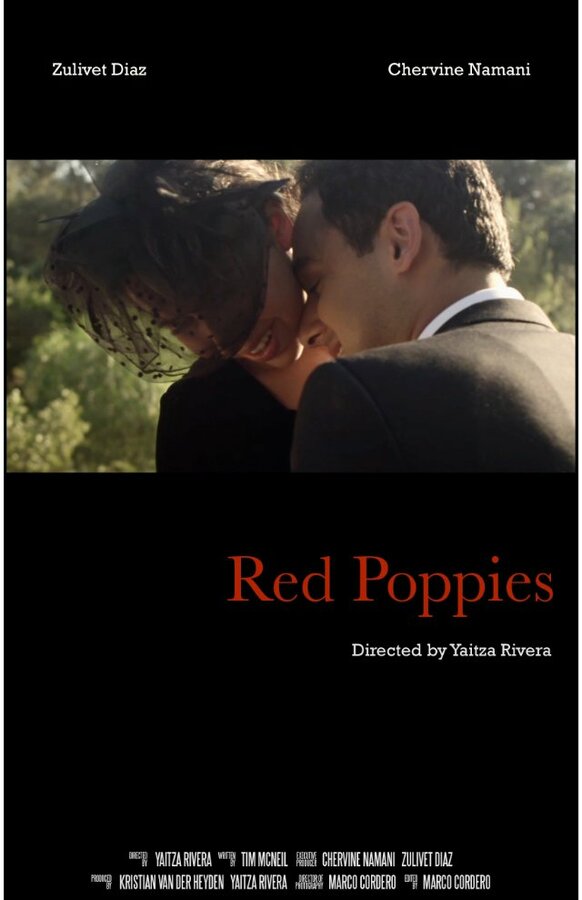 Постер фильма Red Poppies