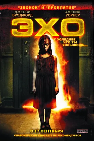Постер Эхо (2008)