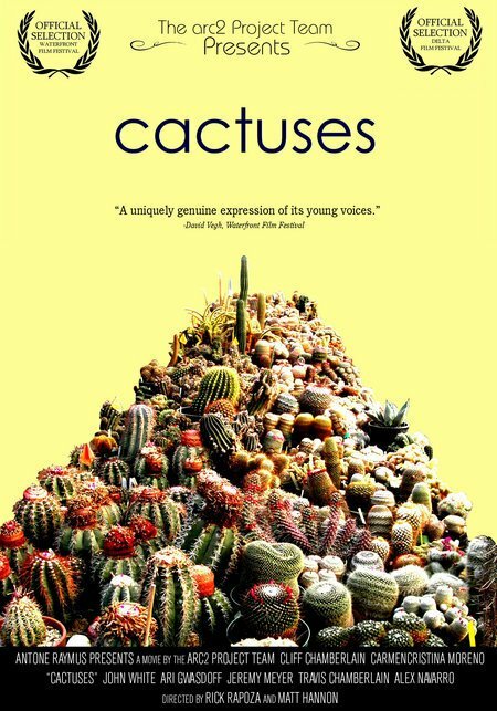 Постер фильма Cactuses
