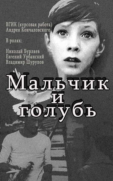 Постер фильма Мальчик и голубь