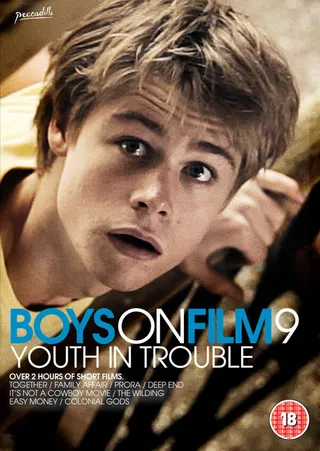 Постер Фильм для парней 9: Проблемы молодости (2013)