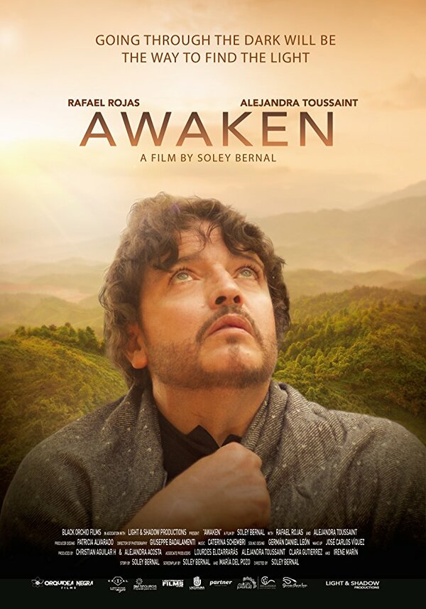 Постер фильма Despertar: Awaken