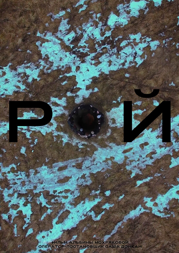 Постер фильма Рой