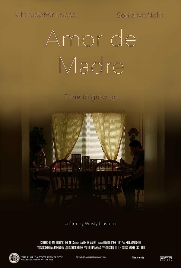 Постер фильма Amor de Madre