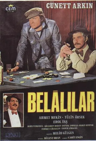 Постер Афера по-турецки (1974)
