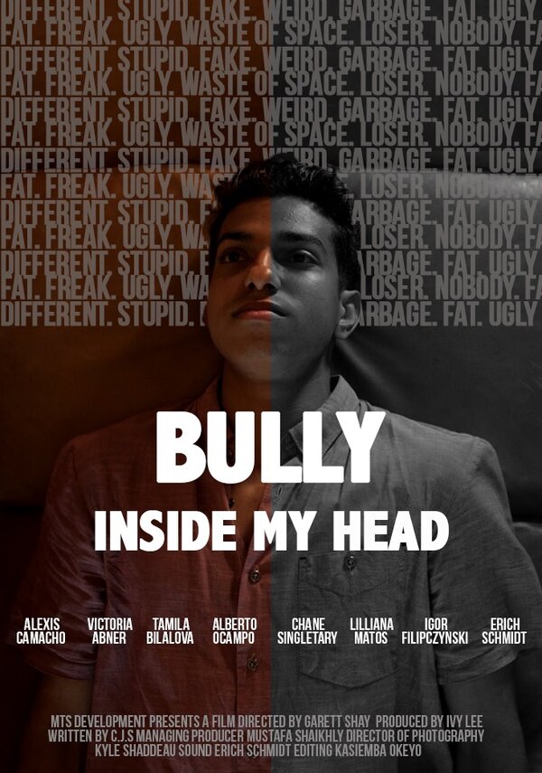 Постер фильма The Bully Inside My Head