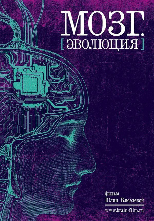 Постер фильма Мозг. Эволюция