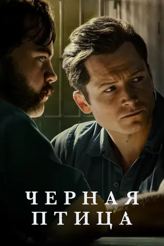 Постер Чёрная птица (2022)