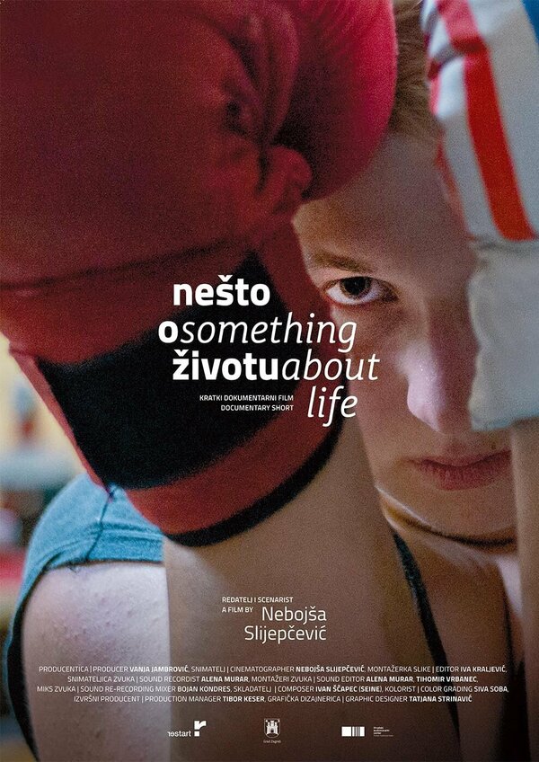 Постер фильма Nesto o zivotu