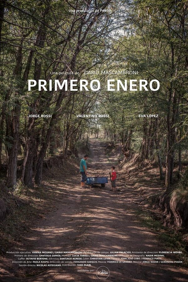 Постер фильма Primero enero