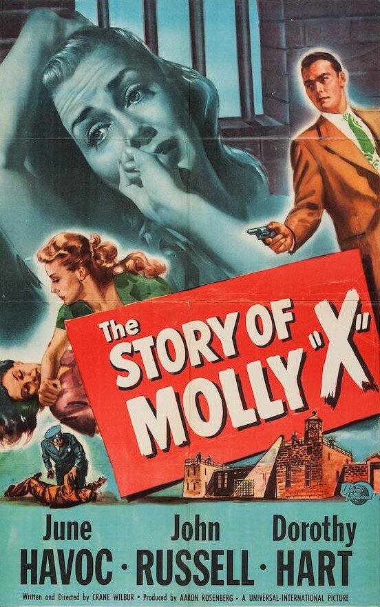 Постер фильма The Story of Molly X