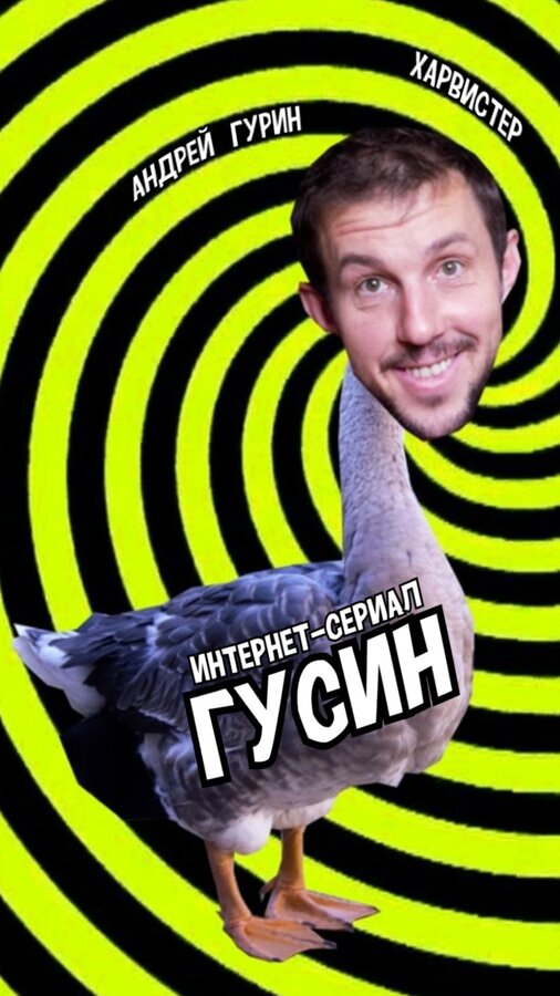 Постер фильма Гусин