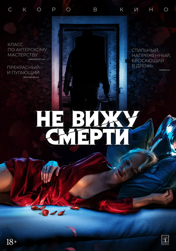 Постер фильма Не вижу смерти