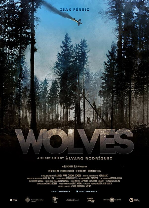 Постер фильма Wolves