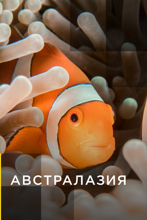 Постер сериала Австралазия