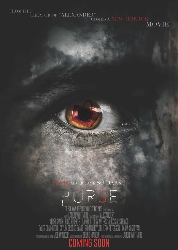 Постер фильма Purse
