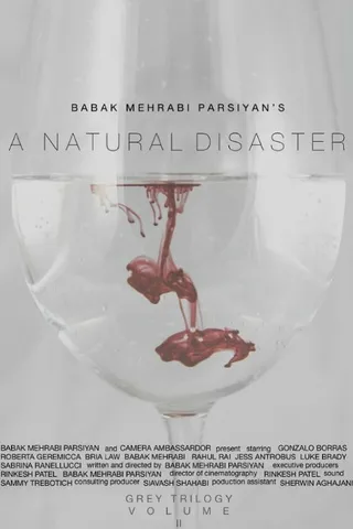 Постер A Natural Disaster (2018)