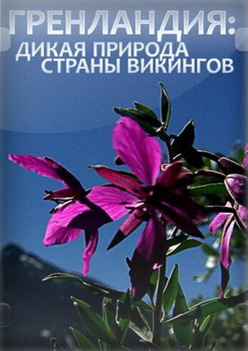 Постер фильма Гренландия: Дикая природа страны викингов