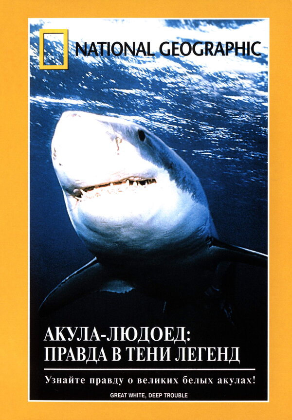 Постер фильма НГО: Акула-людоед. Правда в тени легенд