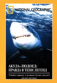 НГО: Акула-людоед. Правда в тени легенд