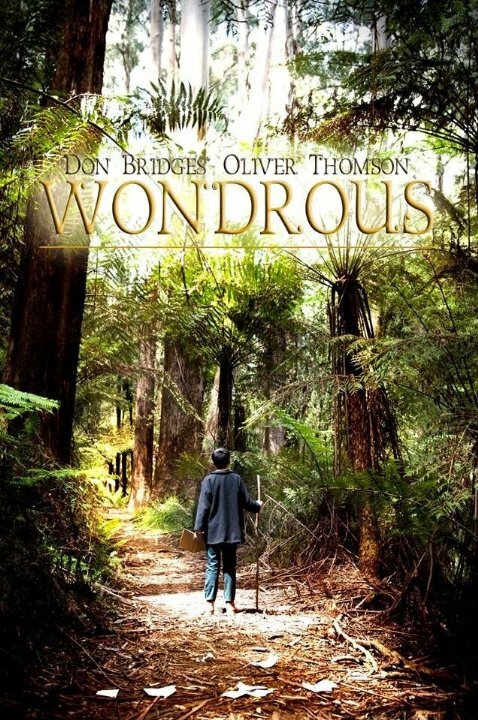 Постер фильма Wondrous