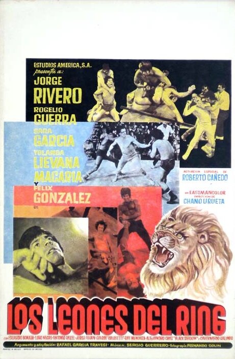 Постер фильма Los leones del ring