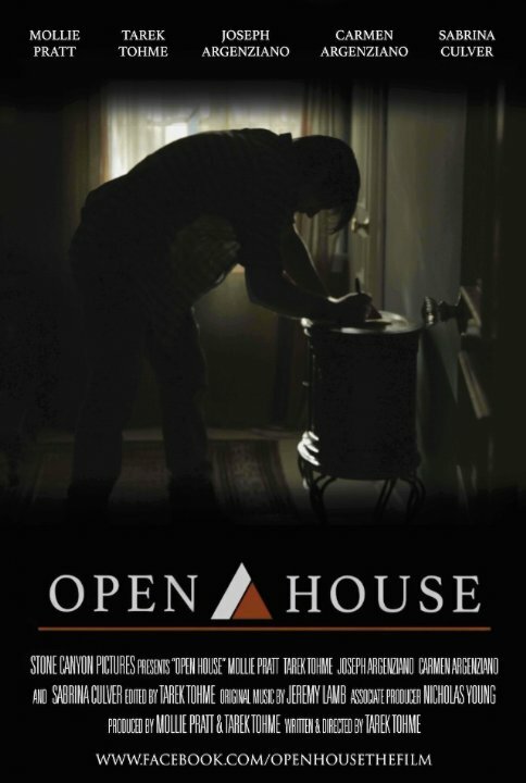 Постер фильма Open House