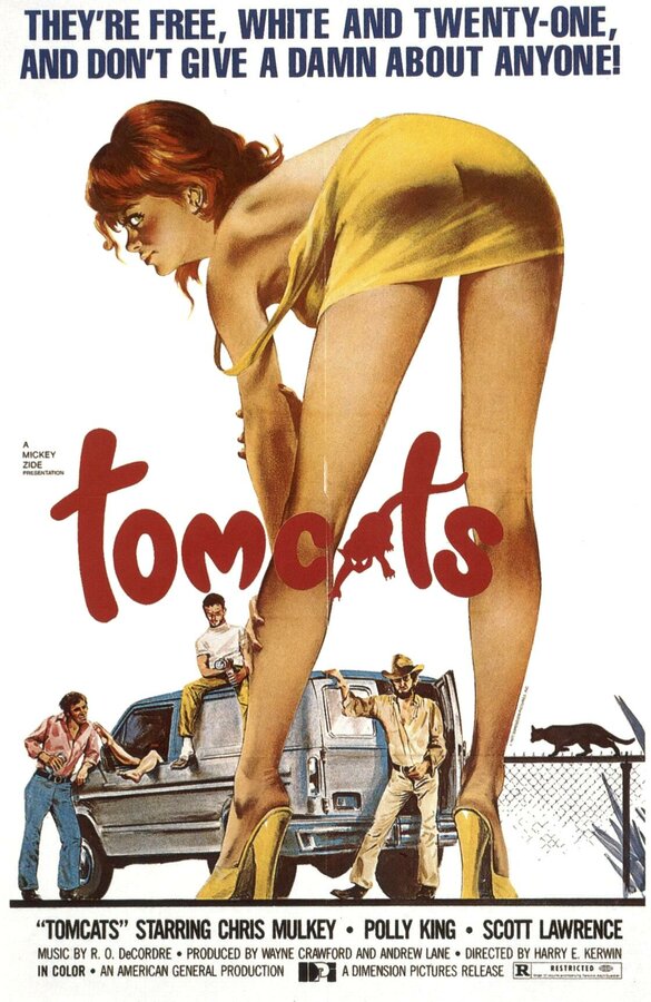 Постер фильма Tomcats