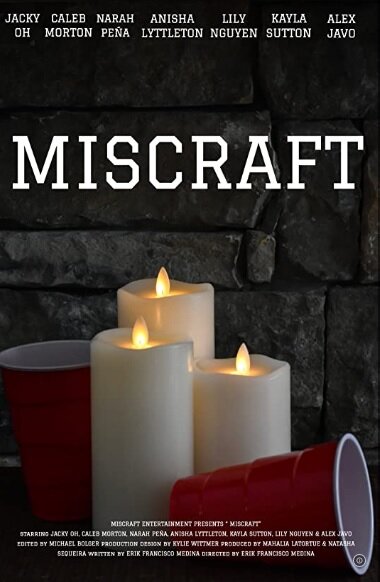 Постер фильма Miscraft