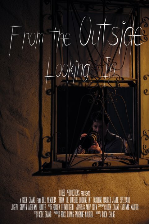 Постер фильма From the Outside Looking In