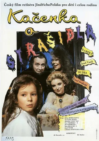 Постер Каченка и призраки (1993)