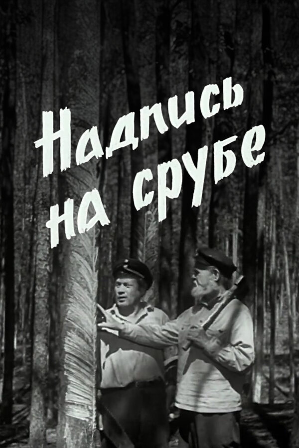Постер фильма Надпись на срубе