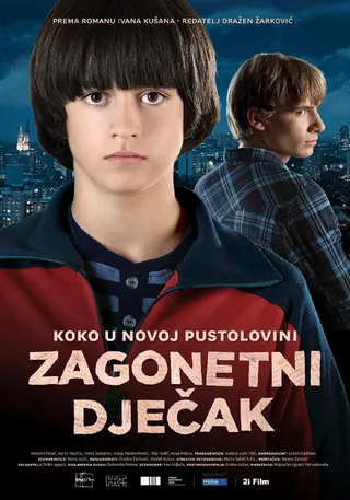Постер Таинственный мальчик (2013)