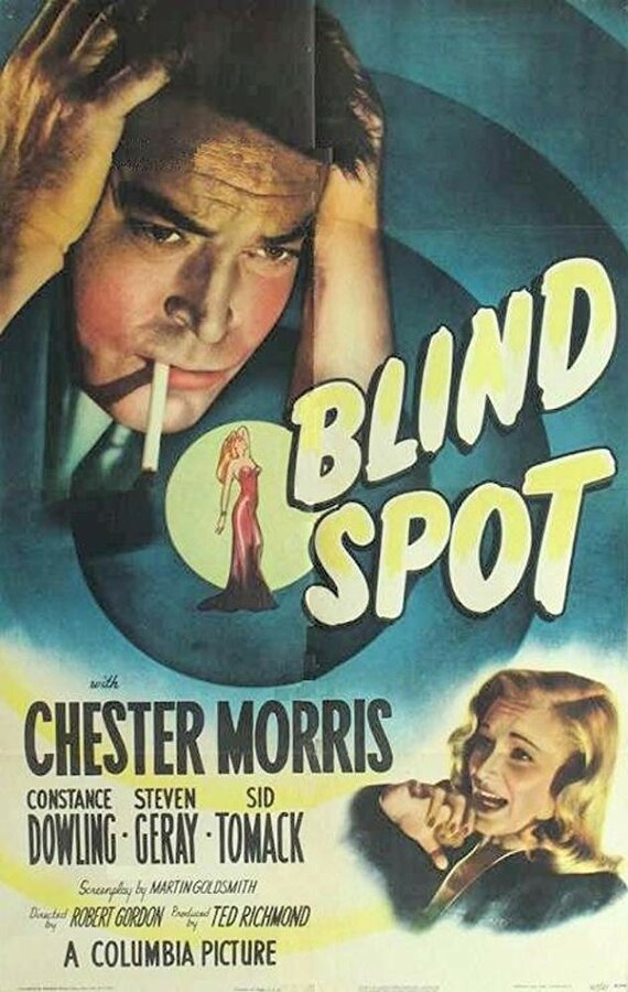Постер фильма Blind Spot