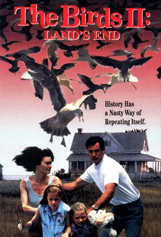Постер Птицы 2: На краю земли (1994)
