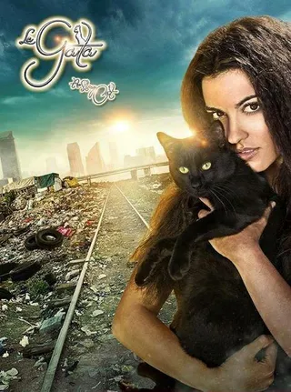 Постер Кошка (2014)
