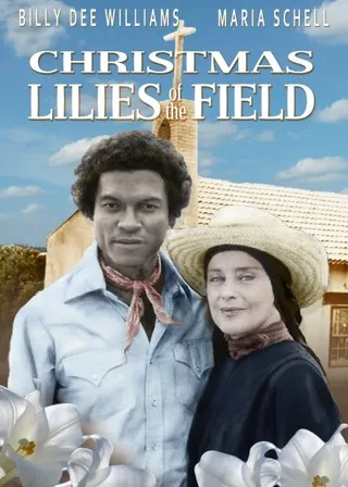 Постер Рождественские полевые лилии (1979)