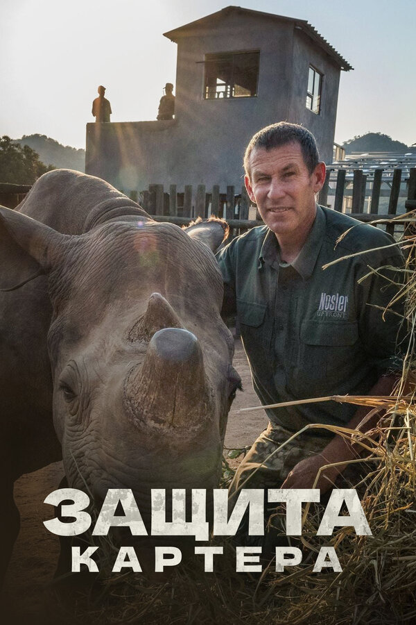 Постер сериала Защита Картера